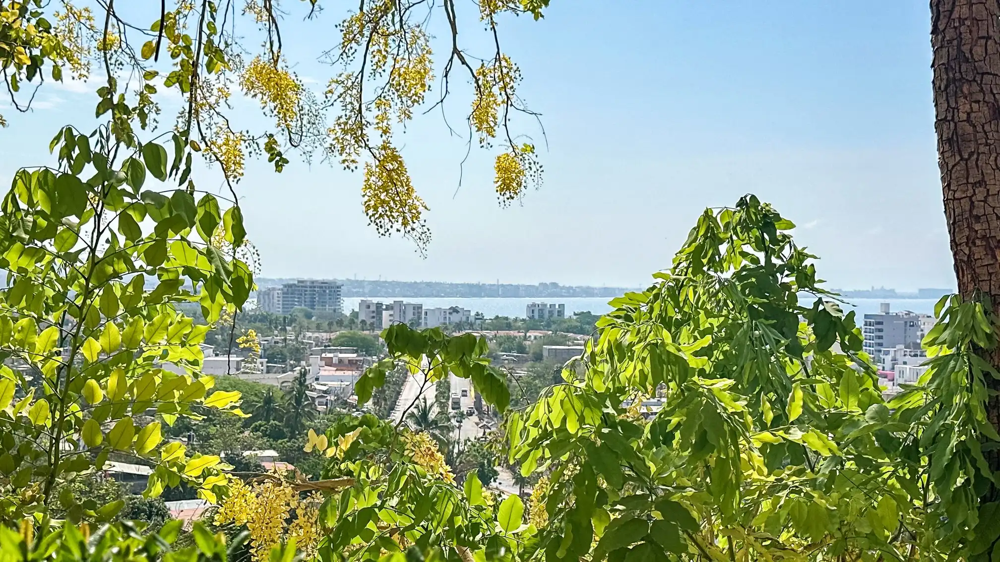 Fotografía 29 de Venta de Complejo de Villas en La Cruz de Huanacaxtle | Ideal Hotel Boutique