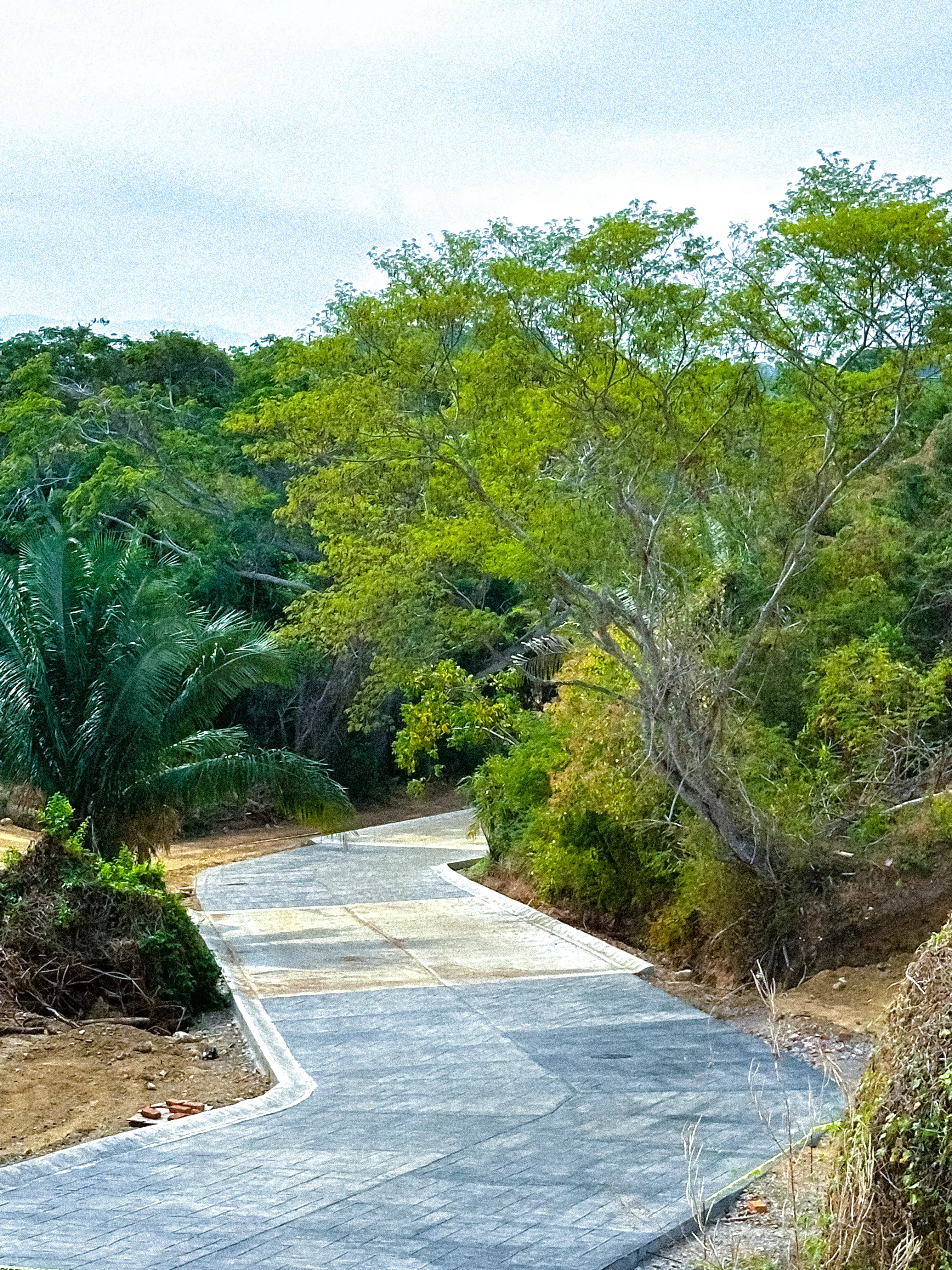 Fotografía 2 de Terreno en Venta en Riviera Nayarit – Lote 24 en Alta Bahía | 617.62 m² en Litibú, Punta de Mita