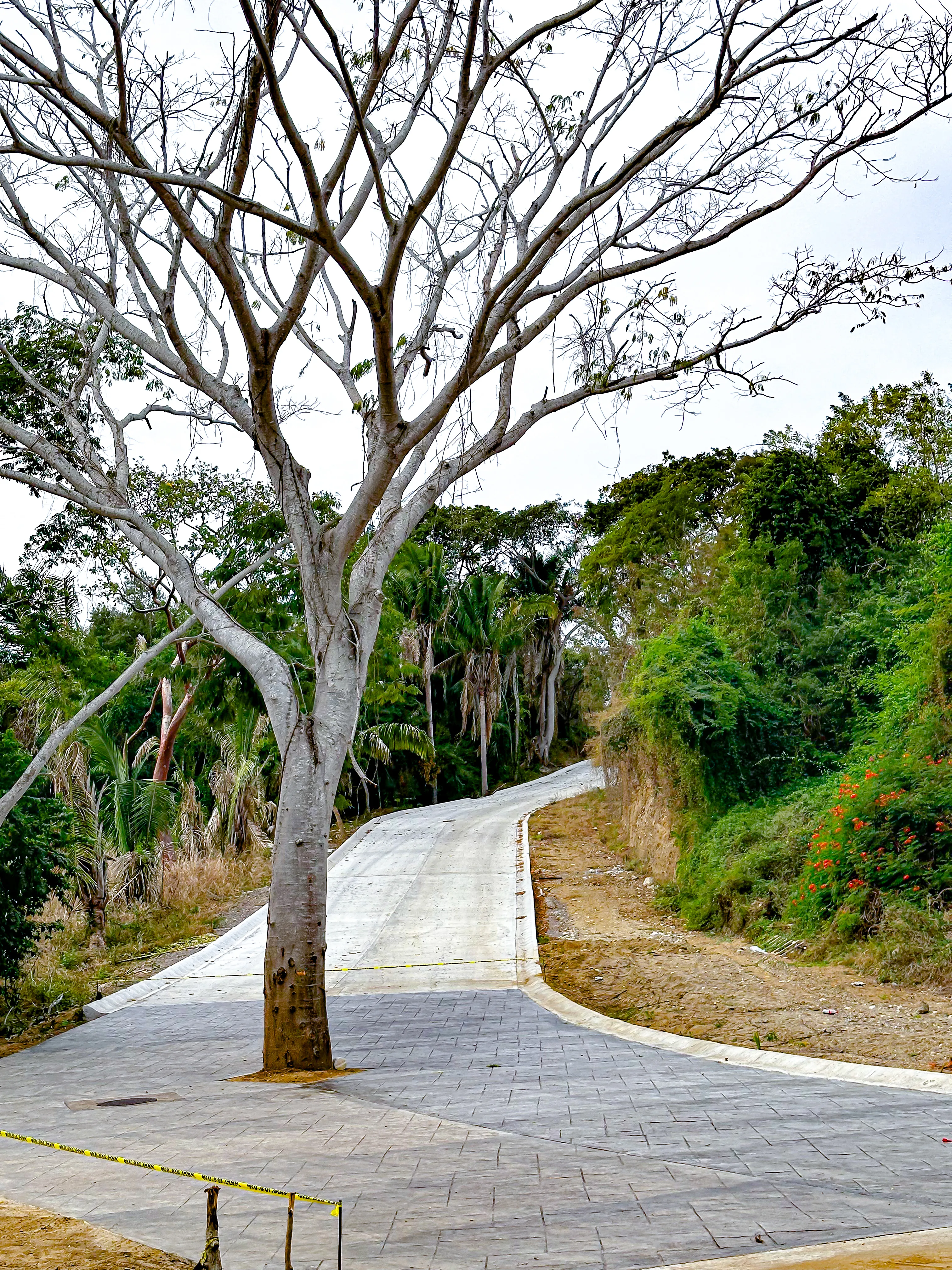 Fotografía 3 de Terreno en Venta en Riviera Nayarit – Lote 24 en Alta Bahía | 617.62 m² en Litibú, Punta de Mita