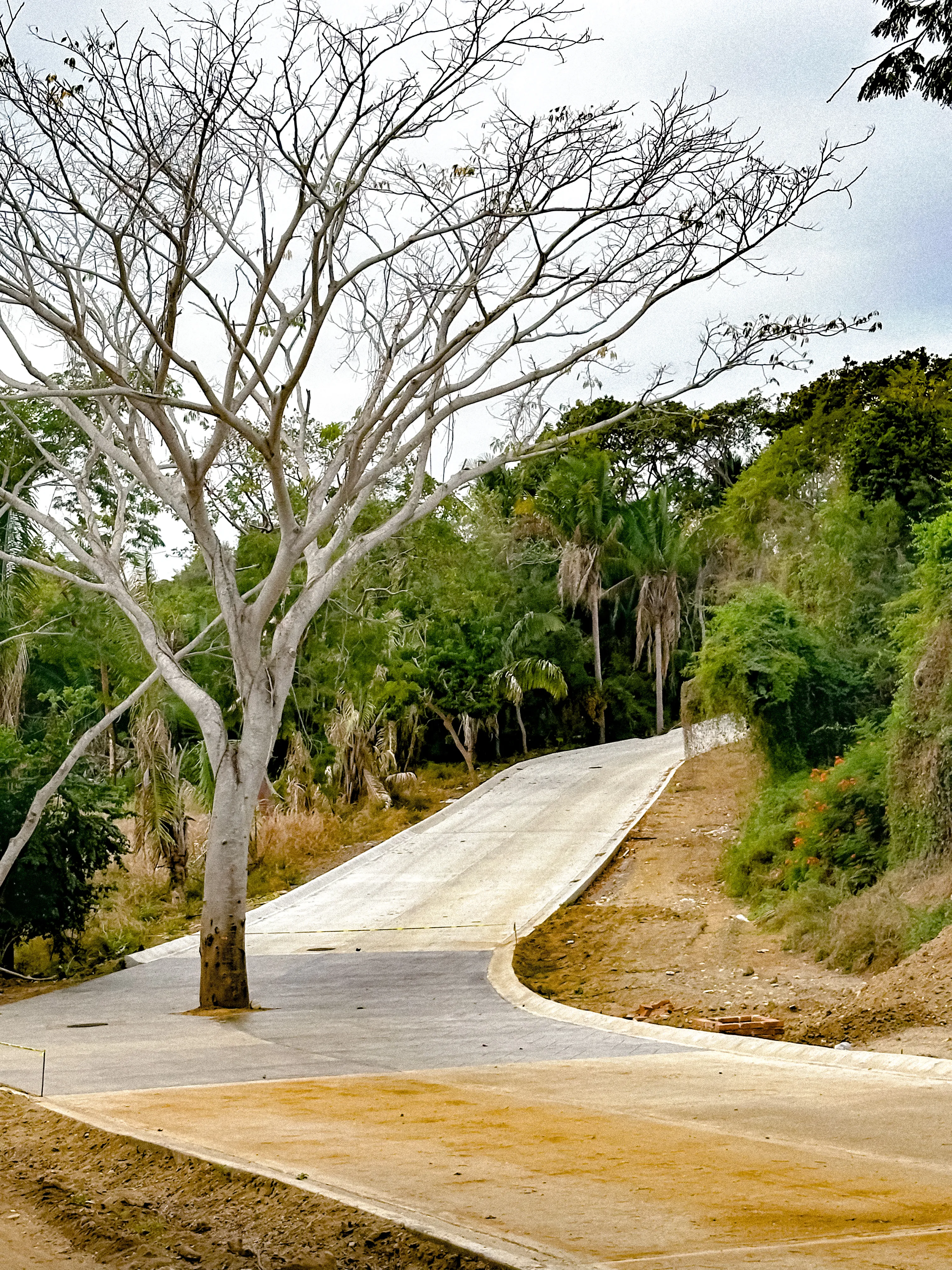 Fotografía 4 de Terreno en Venta en Riviera Nayarit – Lote 24 en Alta Bahía | 617.62 m² en Litibú, Punta de Mita