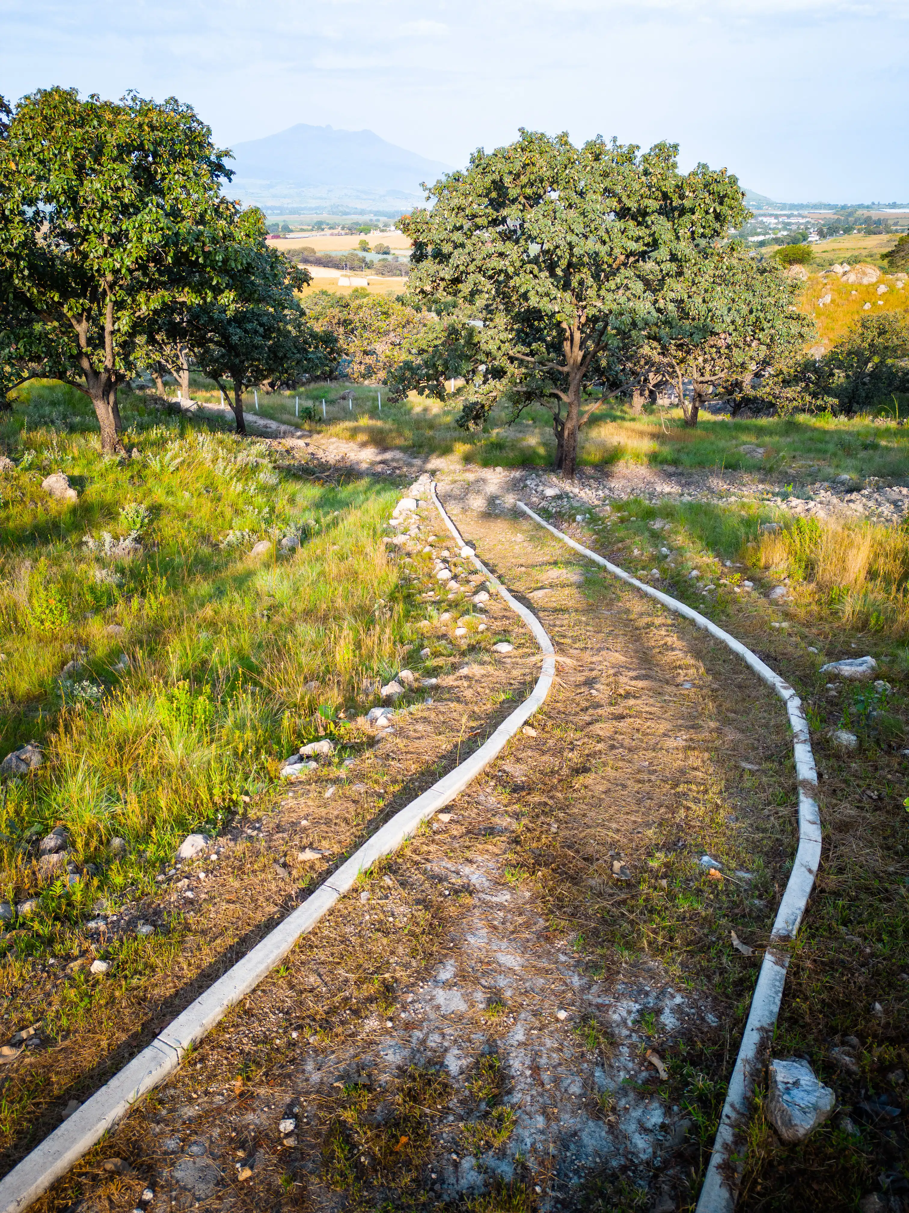 Fotografía 1 de 🌿 Lote Campestre en Venta | 305m² en Punta Bosque, Guadalajara