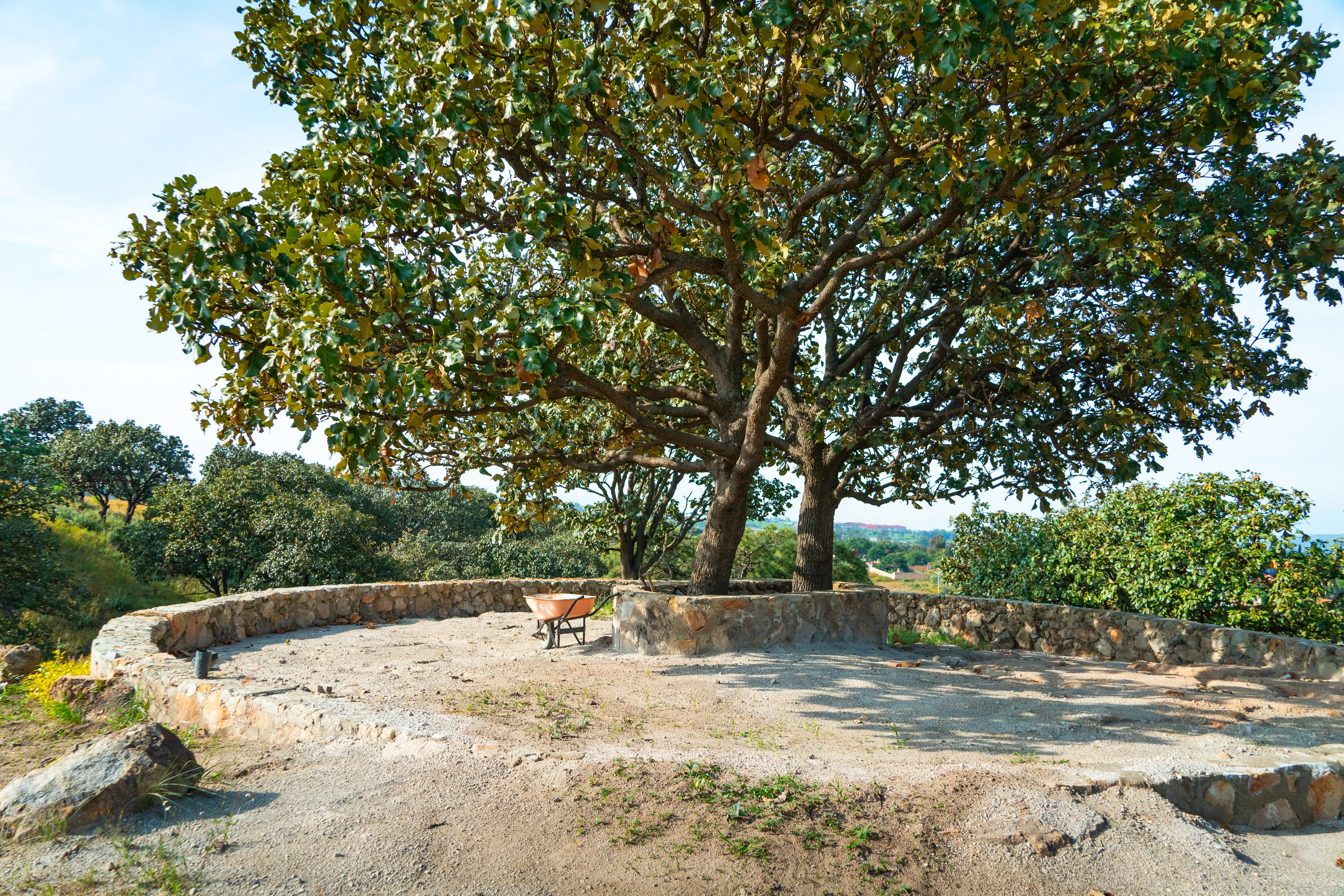 Fotografía 12 de 🌿 Lote Campestre en Venta | 305m² en Punta Bosque, Guadalajara